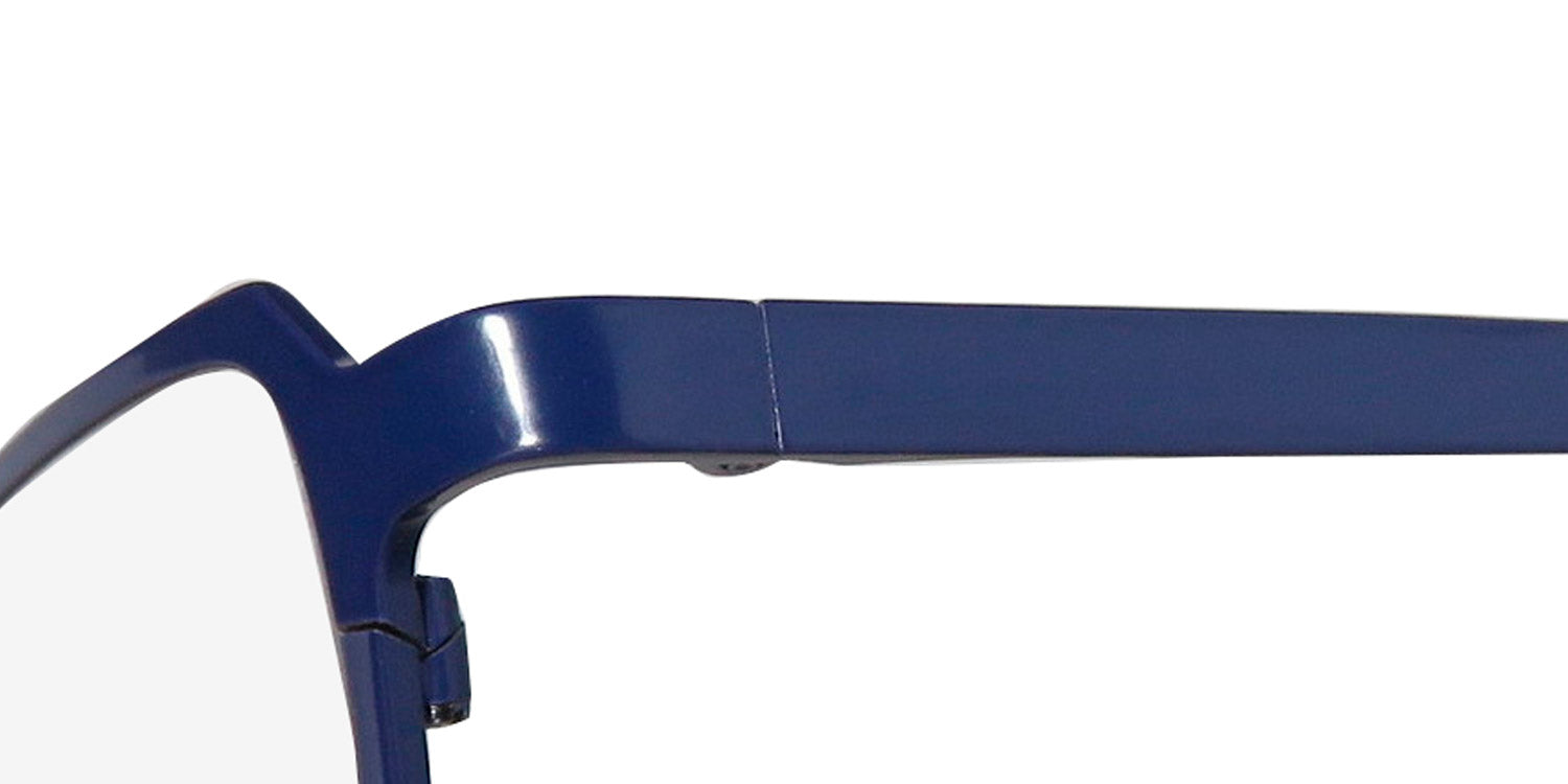 Harry Lary's Hutchy Eyeglasses