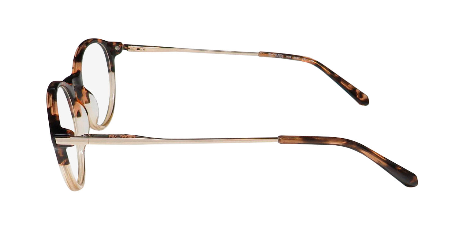 Flower 6047 Iris Eyeglasses