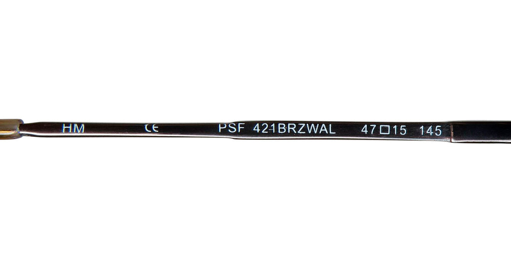 SmartFlip 421-1 Eyeglasses