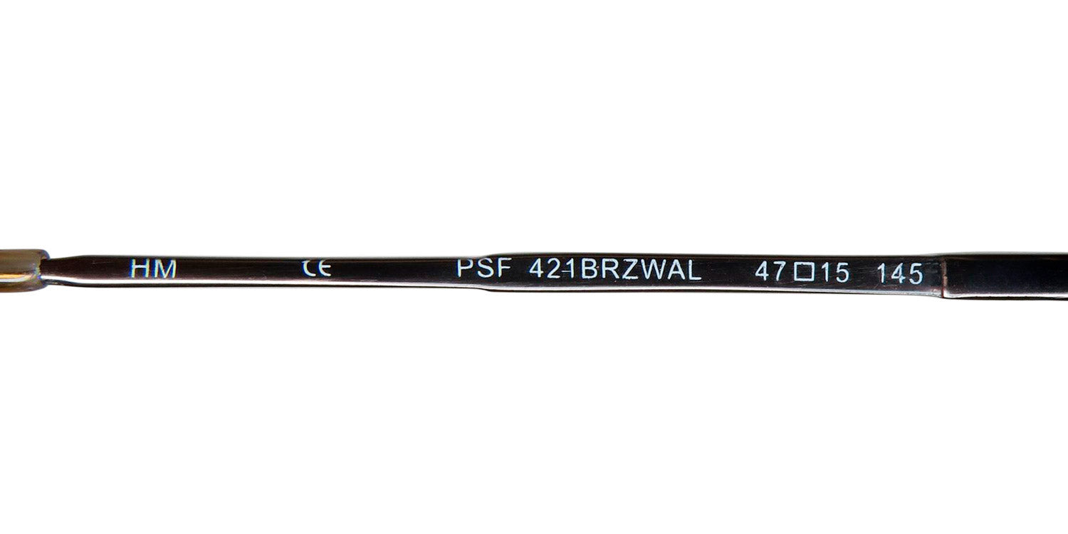 SmartFlip 421-1 Eyeglasses