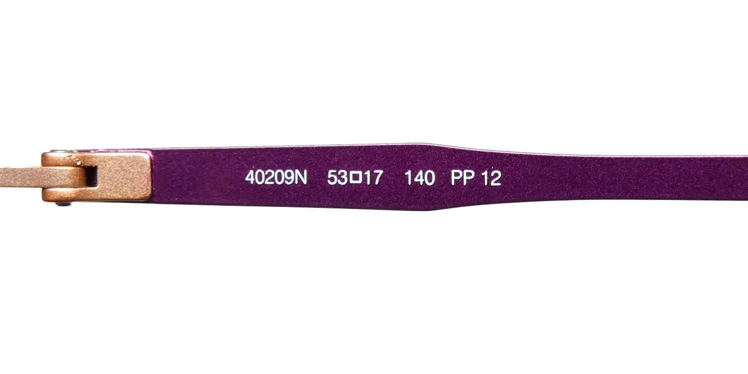 Morel Nomad 40209n Eyeglasses