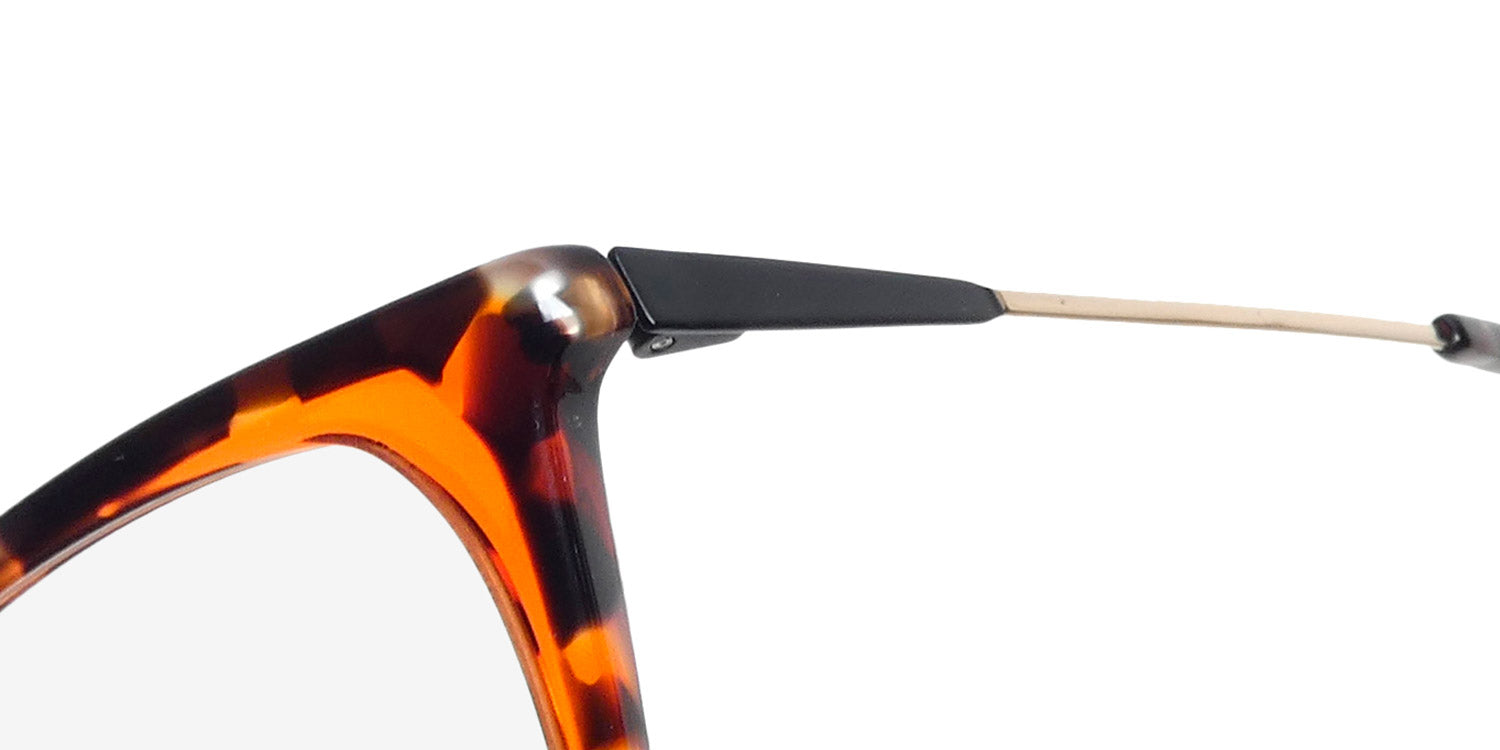 Morel Nomad 40224n Eyeglasses