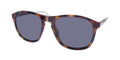 Lozza Sl4245 Pocket Cooper 1 Sunglasses