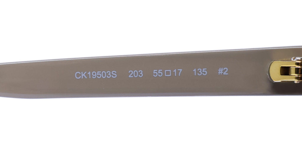 Calvin Klein Ck19503s Sunglasses