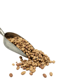 Bolita Beans