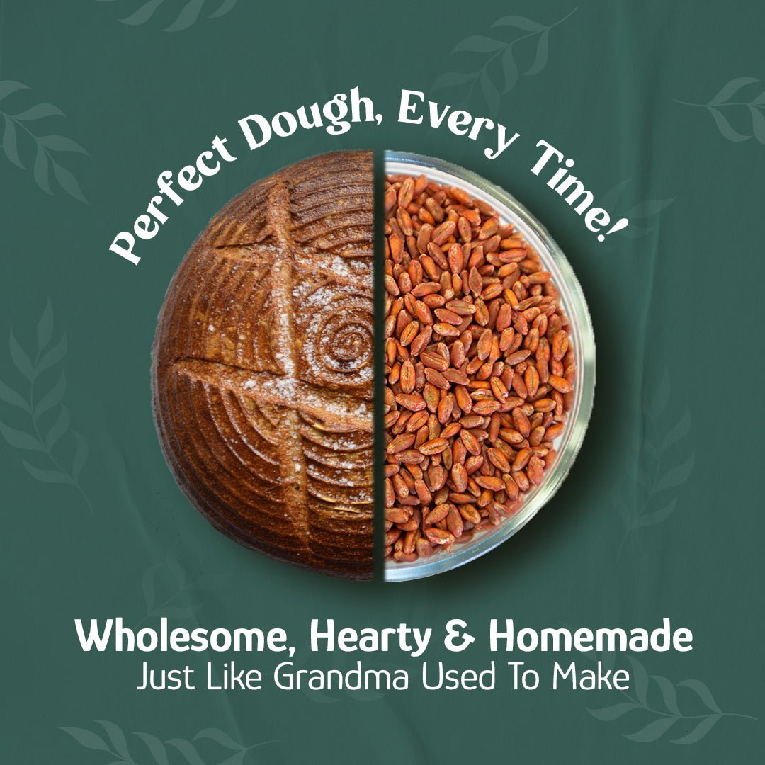 Wheat Berries, Bronze Chief (Red), Certified Glyphosate Free