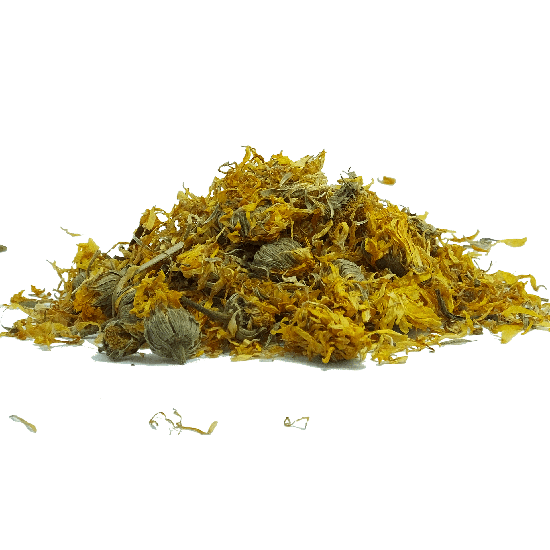 Calendula Flower