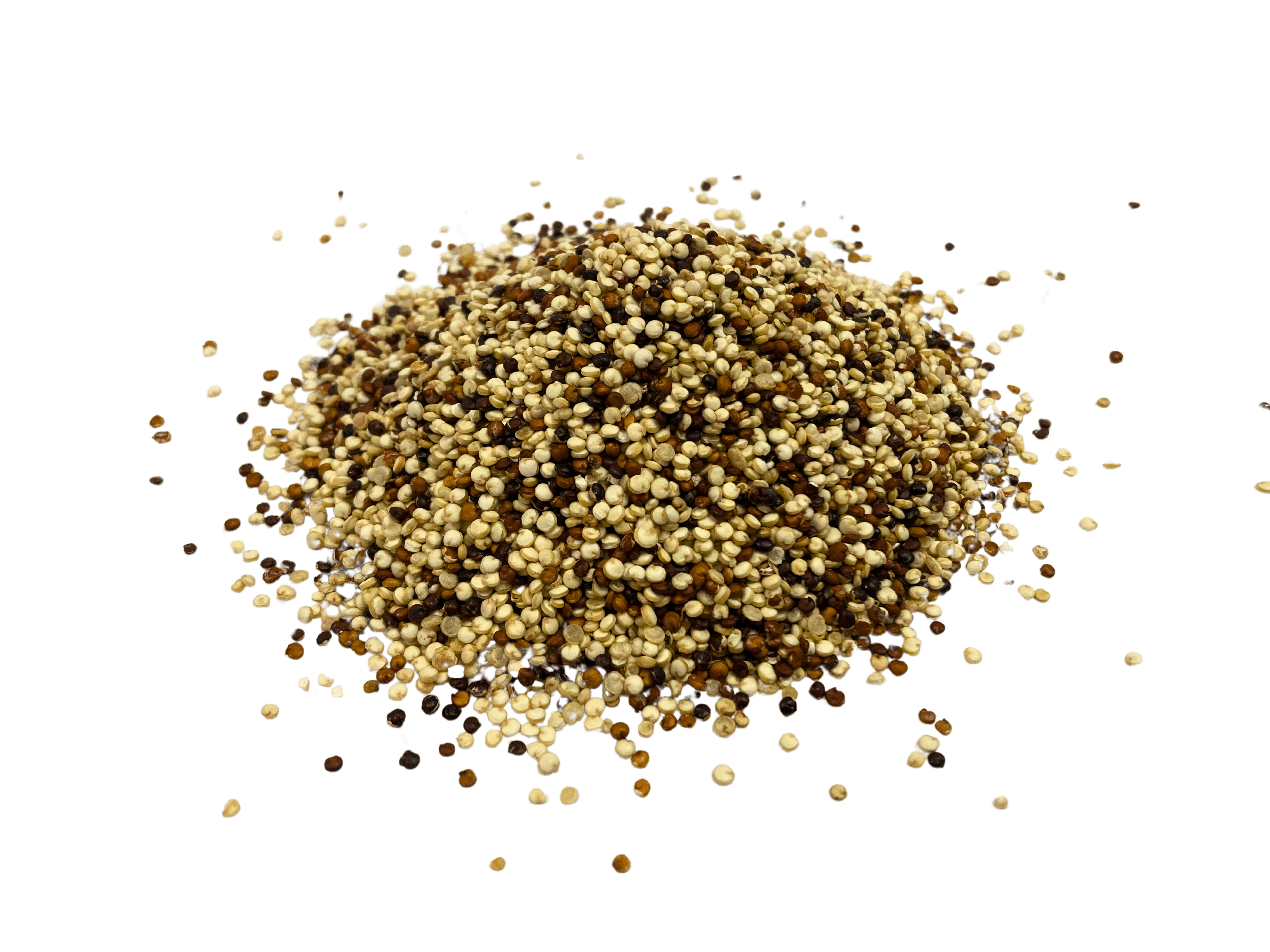 Tri-Color Quinoa, Organic
