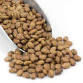 Pinto Beans