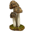 Mushroom Cluster