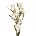 White Jasmine Stem - 29 Inch